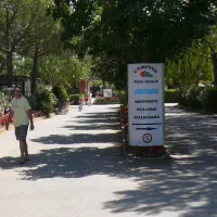 free-beach-bibbona-marina-di-bibbona-iymnb
