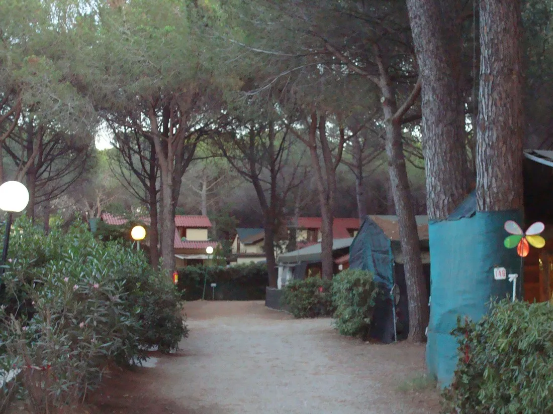 free-beach-bibbona-marina-di-bibbona-vkpa7
