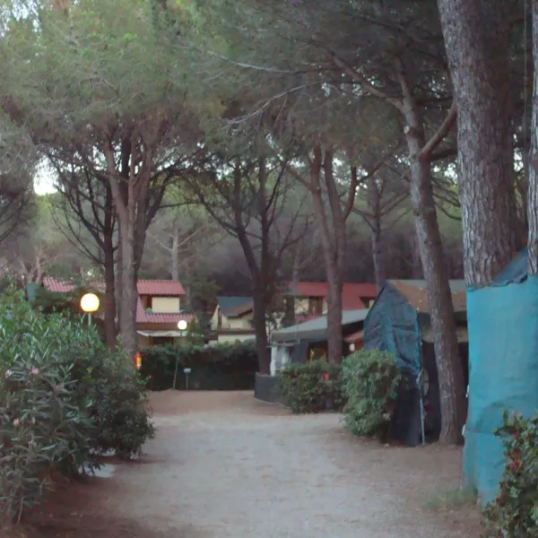 free-beach-bibbona-marina-di-bibbona-vkpa7