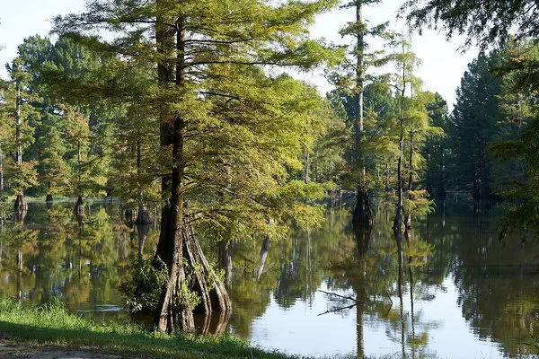 lefleurs-bluff-state-park-jackson-stwux