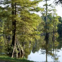 lefleurs-bluff-state-park-jackson-stwux