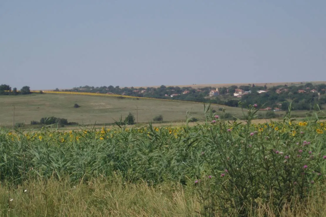 bulgariacampsite-wilola-barzitsa-1xpr2