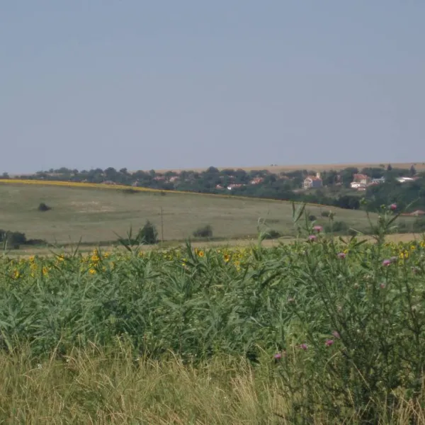 bulgariacampsite-wilola-barzitsa-1xpr2