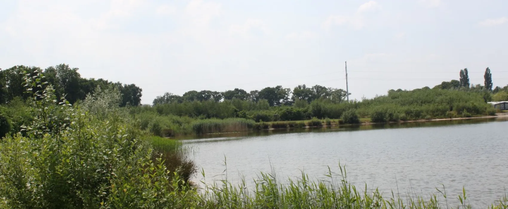 De Vlierhof