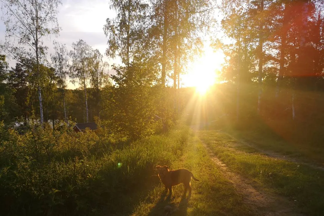 vimmerby-camping-vimmerby-axwj8