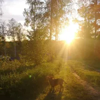 vimmerby-camping-vimmerby-axwj8
