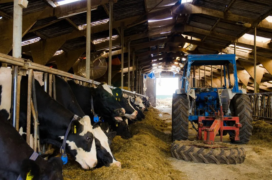groepsaccommodatie-de-branding-schiermonnikoog-vgons