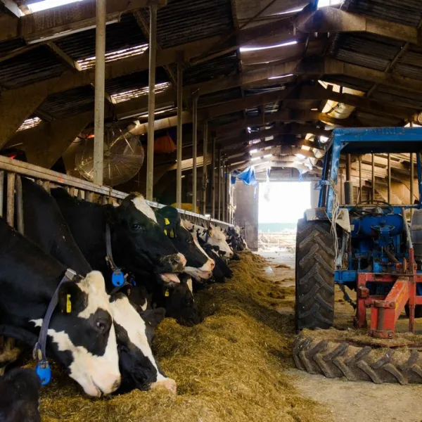 groepsaccommodatie-de-branding-schiermonnikoog-vgons