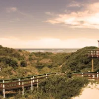 Pine Lodge Resort