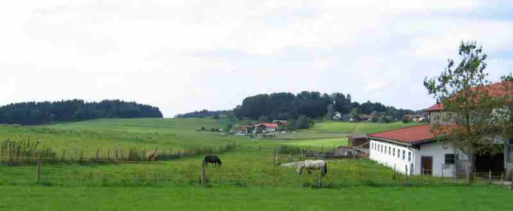 Ortnerhof