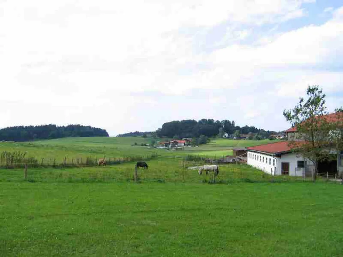 ortnerhof-traunstein-gi6p0