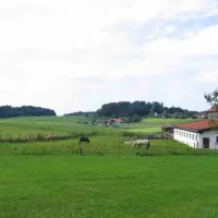 ortnerhof-traunstein-gi6p0