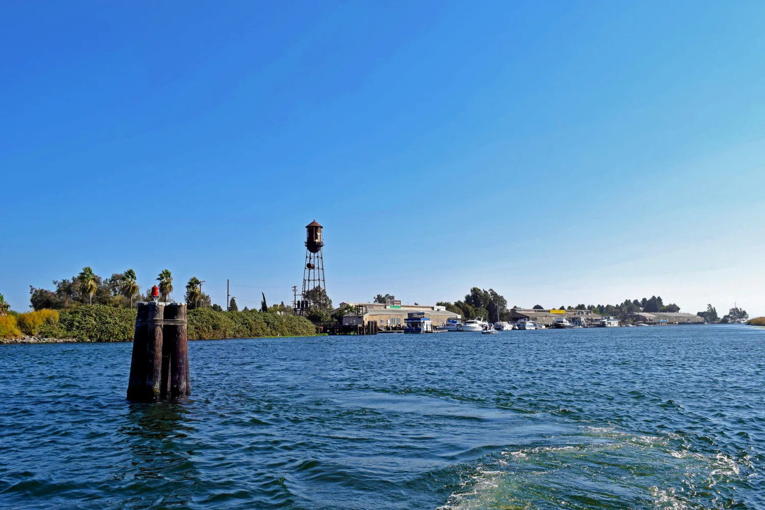 jellystone-parktm-camp-resort-at-tower-park-lodi-clnrk