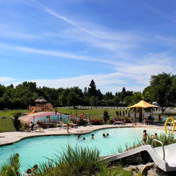 jellystone-parktm-camp-resort-at-tower-park-lodi-pvaig