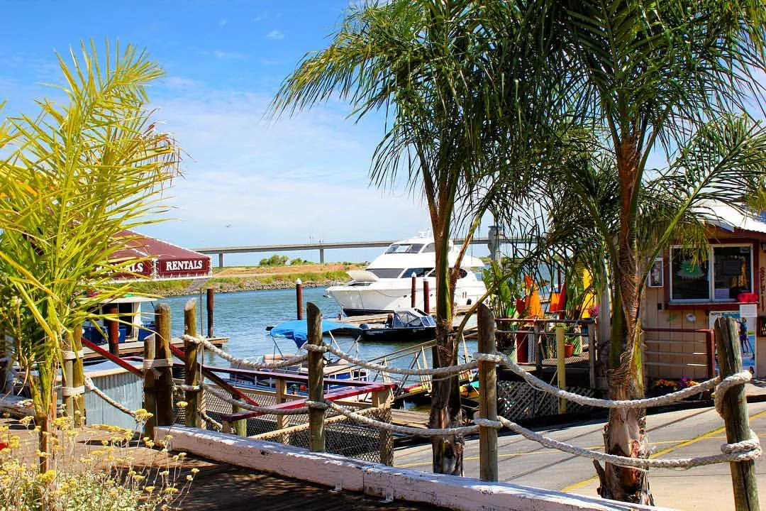 jellystone-parktm-camp-resort-at-tower-park-lodi-uidrr