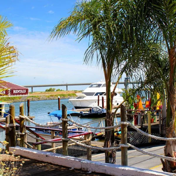 jellystone-parktm-camp-resort-at-tower-park-lodi-uidrr