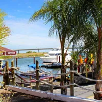 jellystone-parktm-camp-resort-at-tower-park-lodi-uidrr