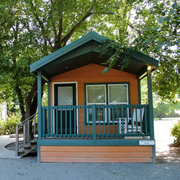 jellystone-parktm-camp-resort-at-tower-park-lodi-wzp8j