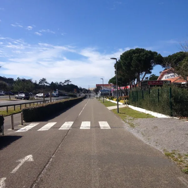 les-cigales-moliets-et-maalandes-4jzwf