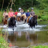 toodlermillen-tadler-moulin-uycq3