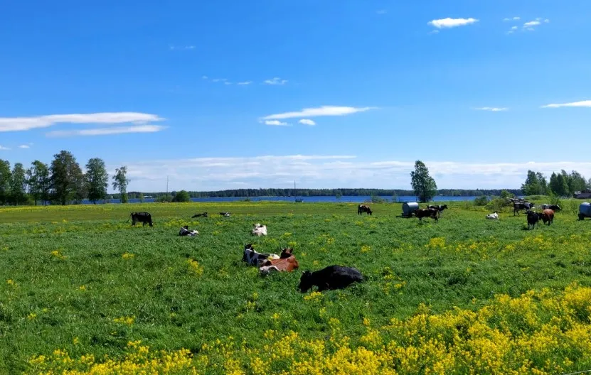kuusaa-jokelan-kylatalo-eurola-haapajarvi-dzrup