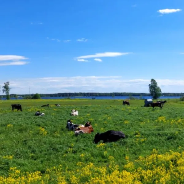 kuusaa-jokelan-kylatalo-eurola-haapajarvi-dzrup
