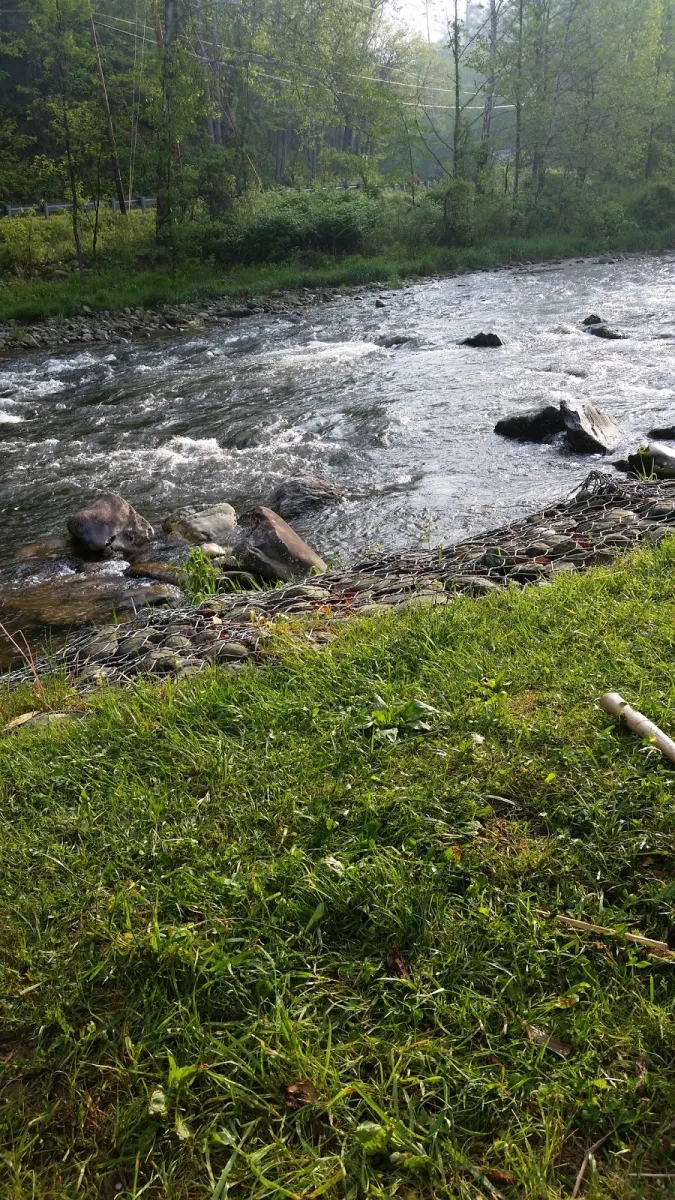 yogi-in-the-smokies-cherokee-gyfho