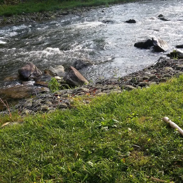 yogi-in-the-smokies-cherokee-gyfho