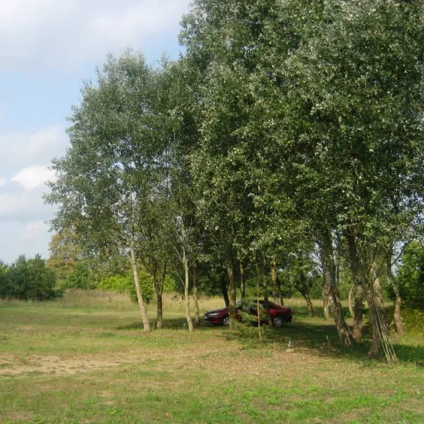 camping-cizeri-salkoni-obpls