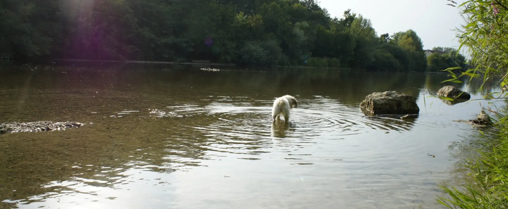 Les Bords du Guiers