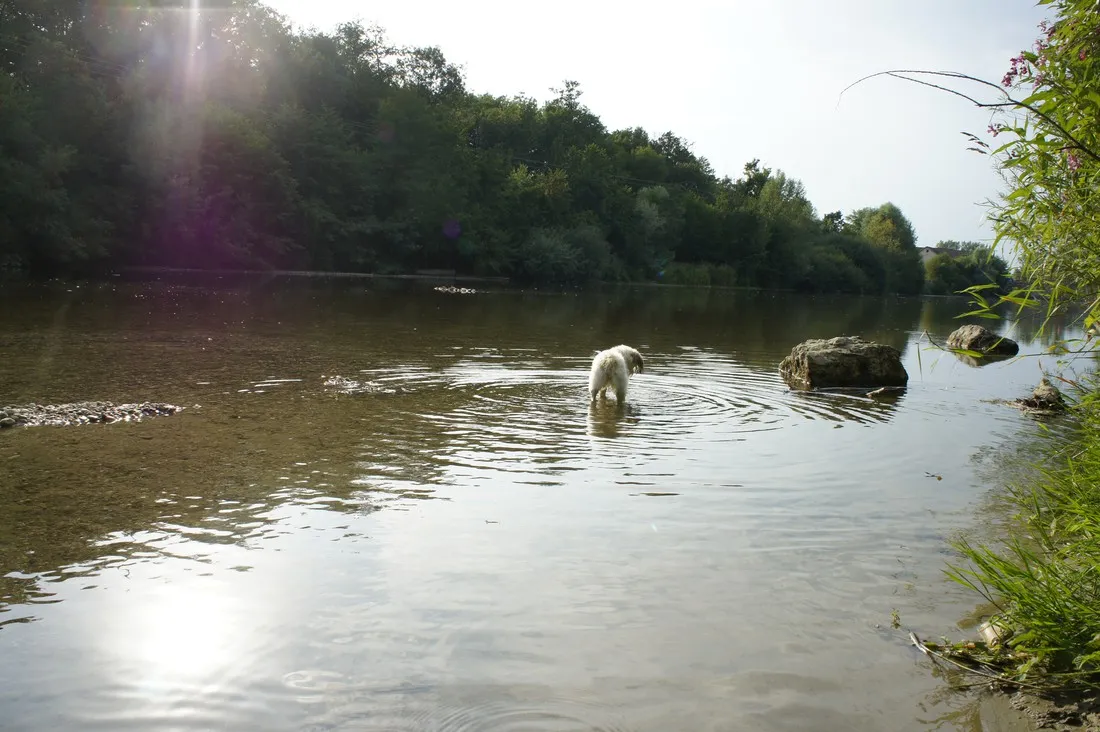 les-bords-du-guiers-st-genix-sur-guiers-hyzl5