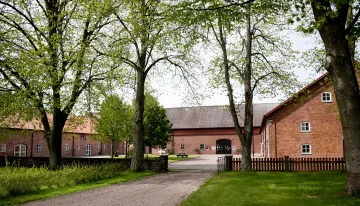 lilla-boslid-eldsberga-9heaf