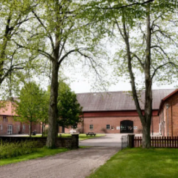 lilla-boslid-eldsberga-9heaf