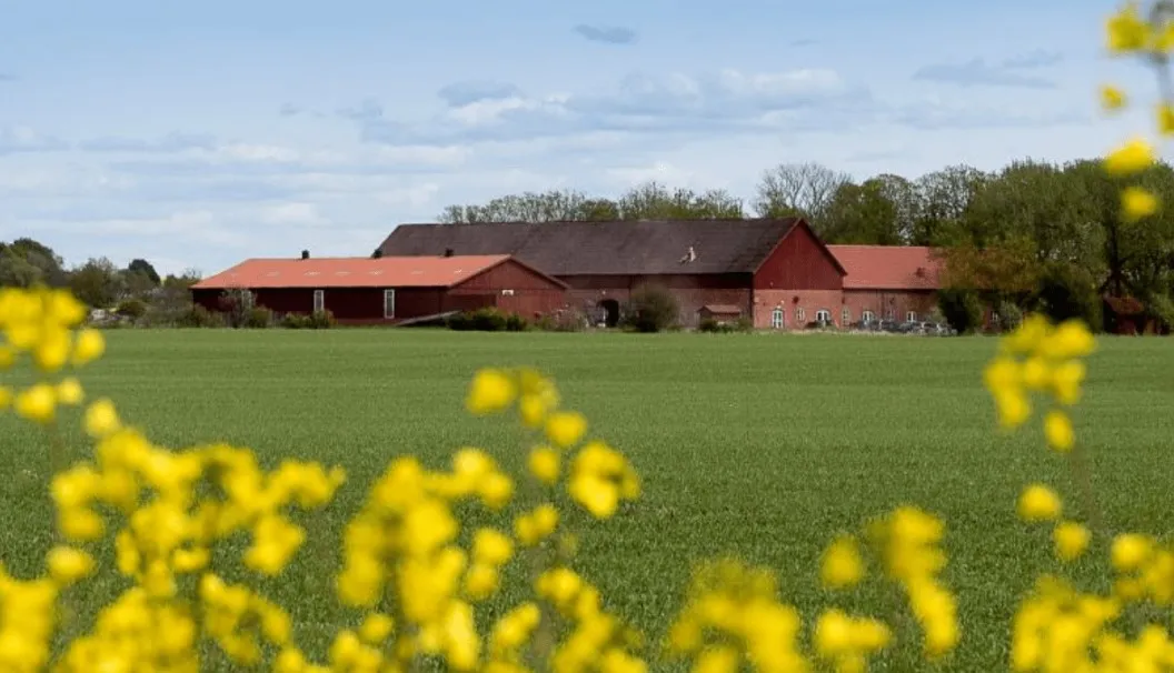 lilla-boslid-eldsberga-j25sv