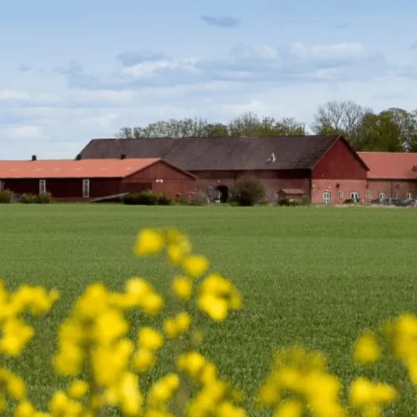 Lilla Böslid