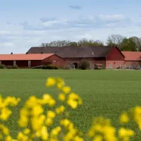 lilla-boslid-eldsberga-j25sv