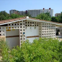 can-marti-tossa-de-mar-tmuxo