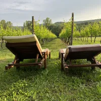 purple-eye-estate-camp-winery-jokas-daniovgrad-4qxhc