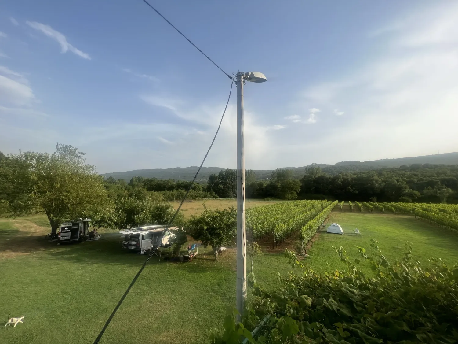 purple-eye-estate-camp-winery-jokas-daniovgrad-8ymha