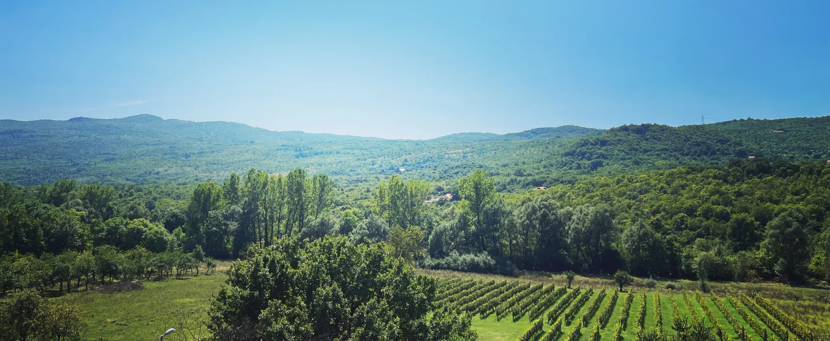 Purple Eye Estate - Camp & Winery (Jokaš)