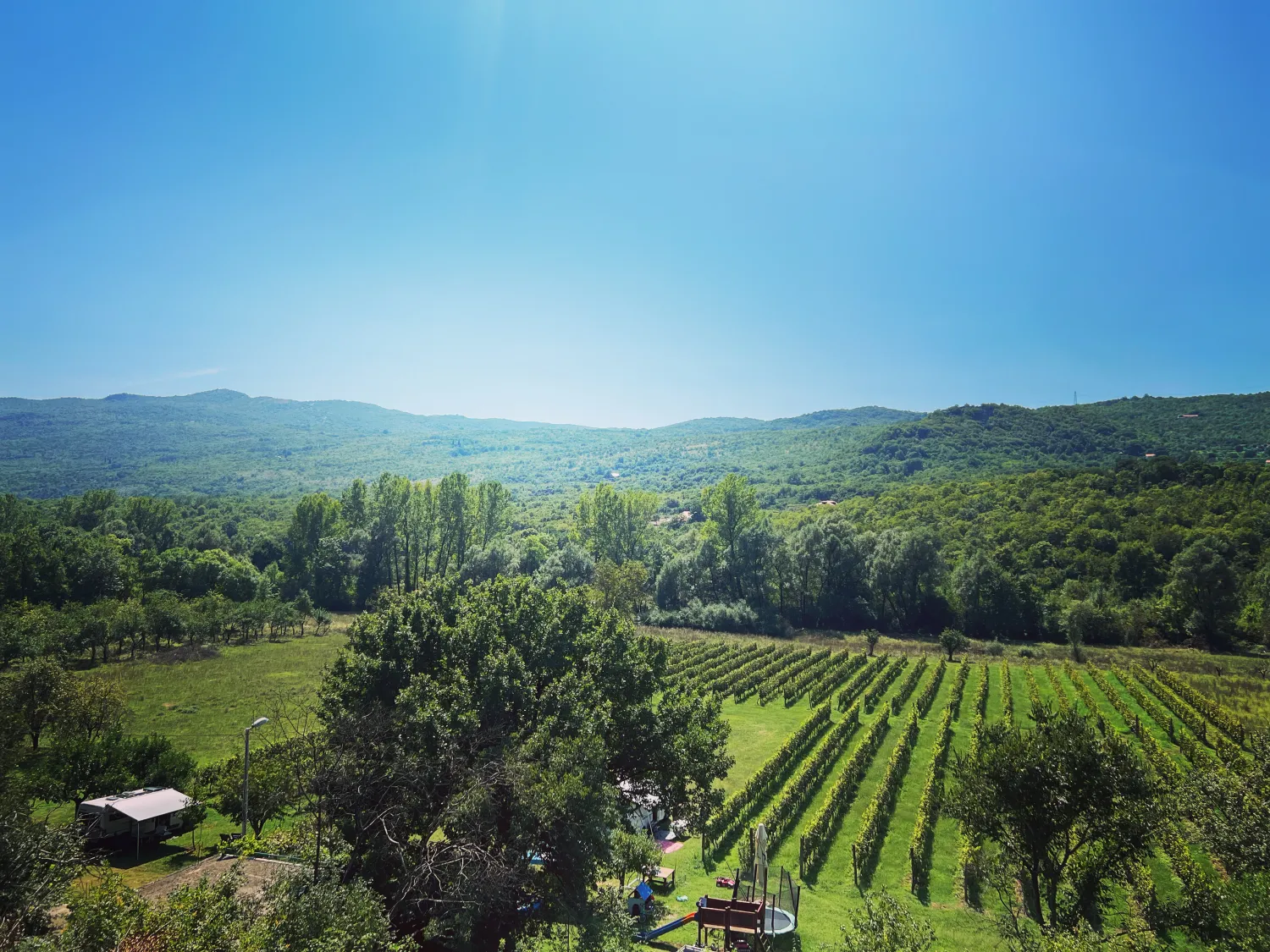 purple-eye-estate-camp-winery-jokas-daniovgrad-lnnwz
