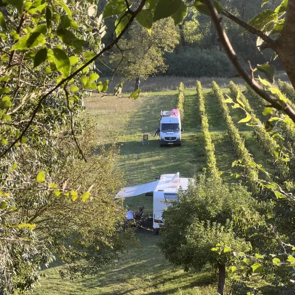 purple-eye-estate-camp-winery-jokas-daniovgrad-mg2ir