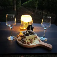 purple-eye-estate-camp-winery-jokas-daniovgrad-xelwb