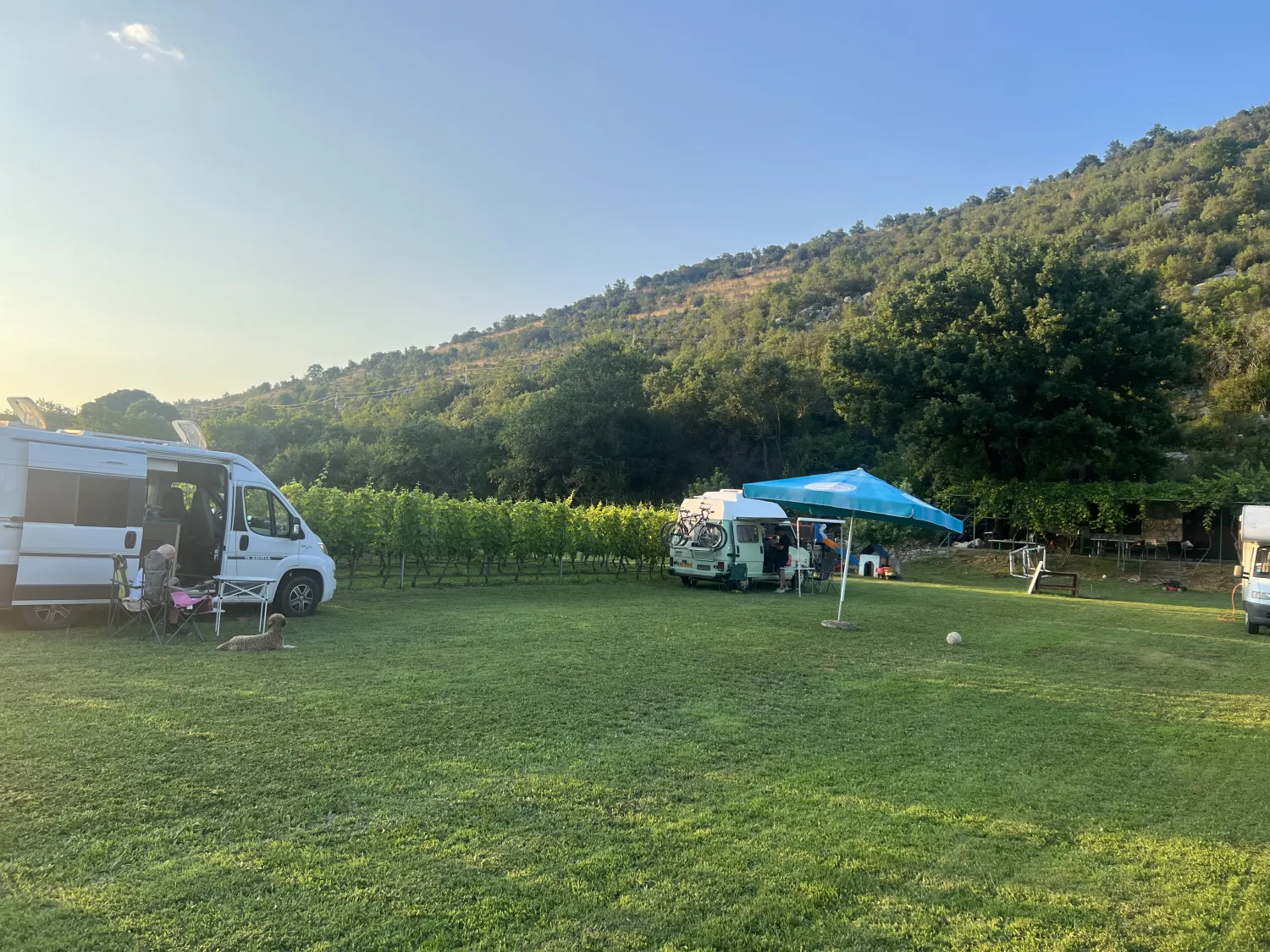 purple-eye-estate-camp-winery-jokas-daniovgrad-zgmnz