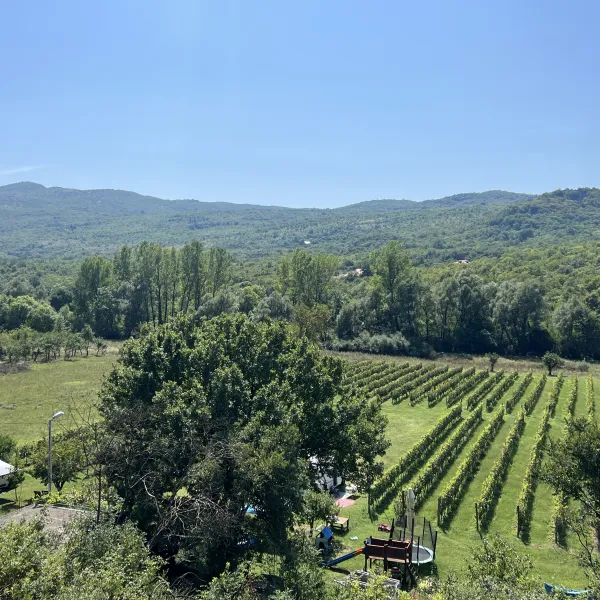 purple-eye-estate-camp-winery-jokas-daniovgrad-zqwpu