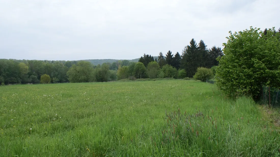la-loqueresse-heer-sur-meuse-hterq