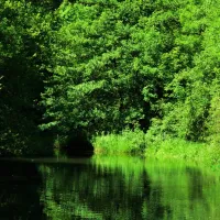 coeur-dardeche-les-ollieres-sur-eyrieux-ardeche-8jxmo
