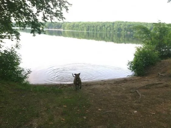 lake-williams-campground-lebanon-cnbi6