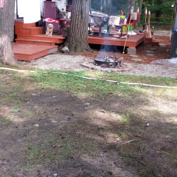 Timber Surf Camping Resort