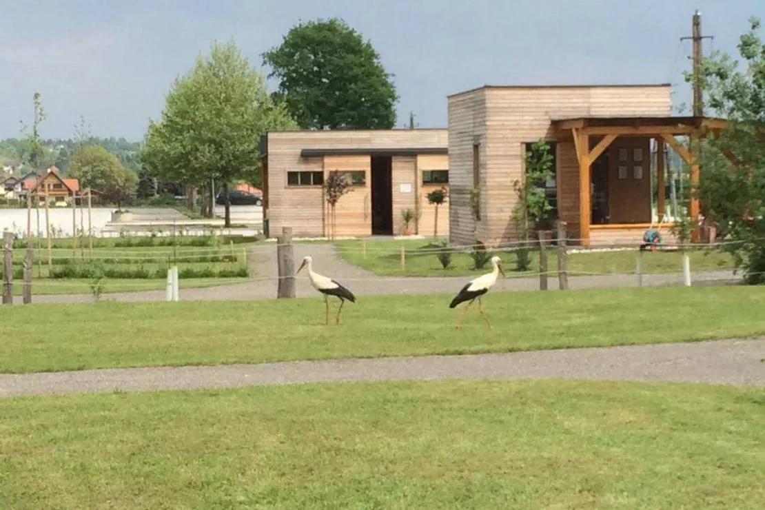olspur-camping-eibiswald-2waro
